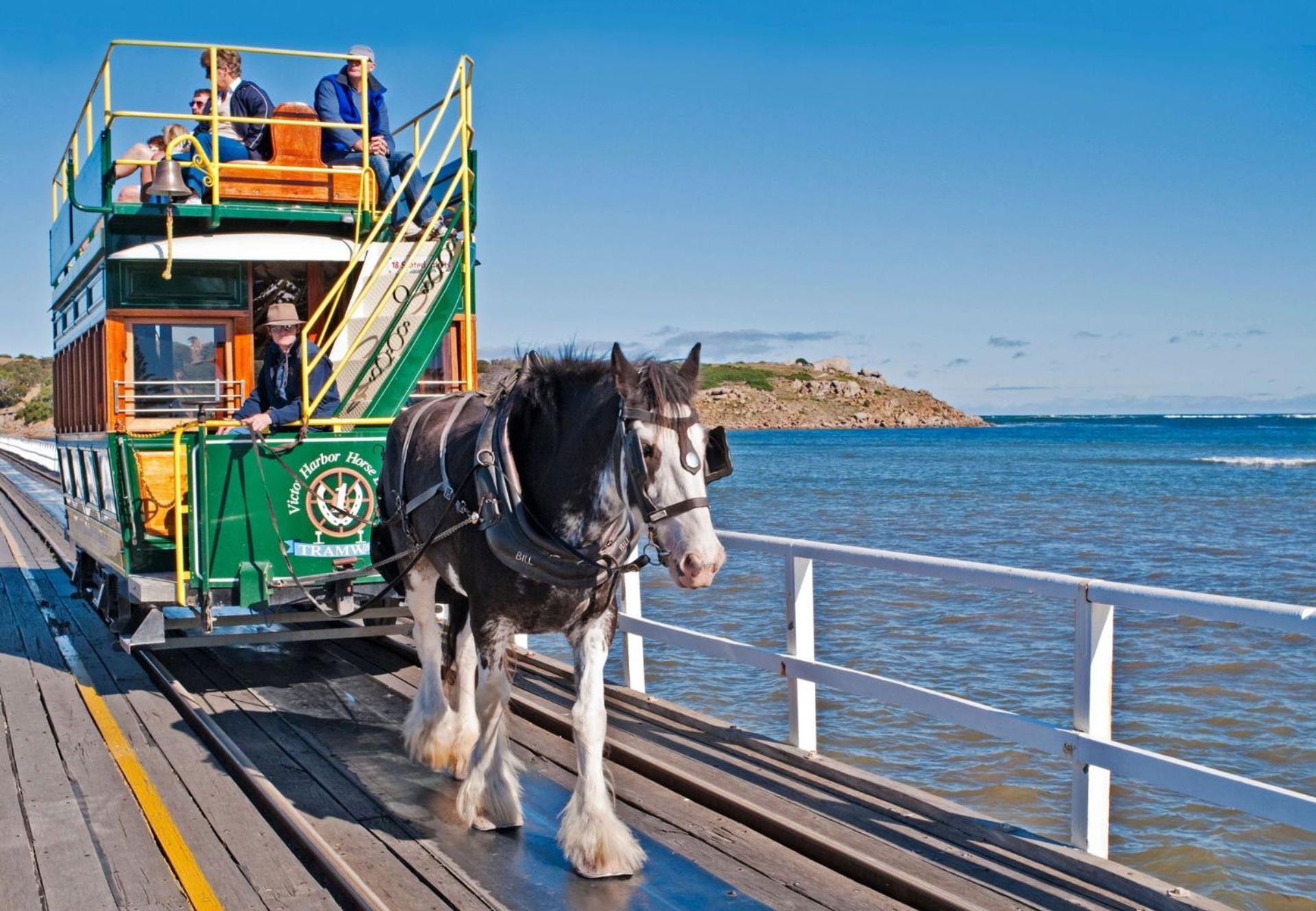 Victor Harbor Holiday Park Exterior foto